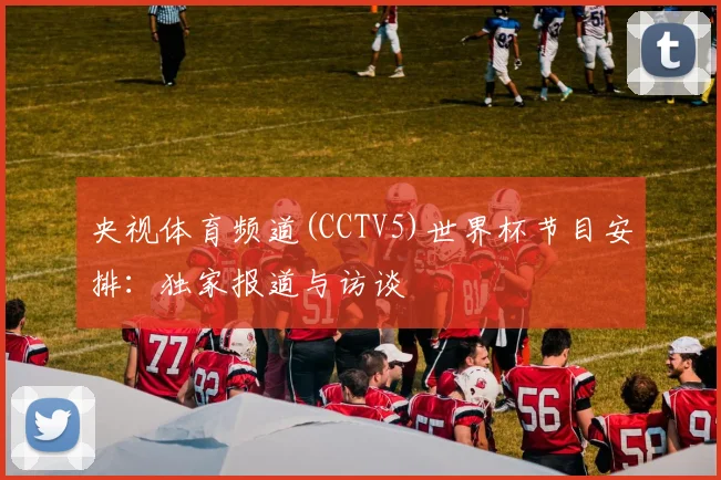央视体育频道(CCTV5)世界杯节目安排:独家报道与访谈