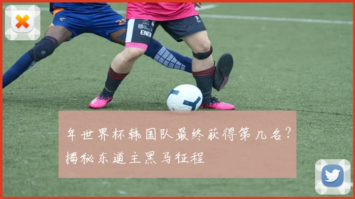 年世界杯韩国队最终获得第几名？揭秘东道主黑马征程