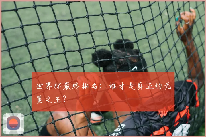 世界杯最终排名：谁才是真正的无冕之王？